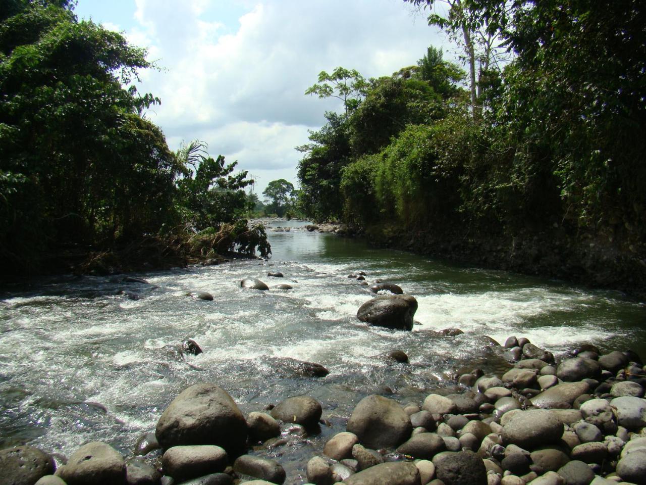 Horquetas River Lodge Sarapiqui Bagian luar foto