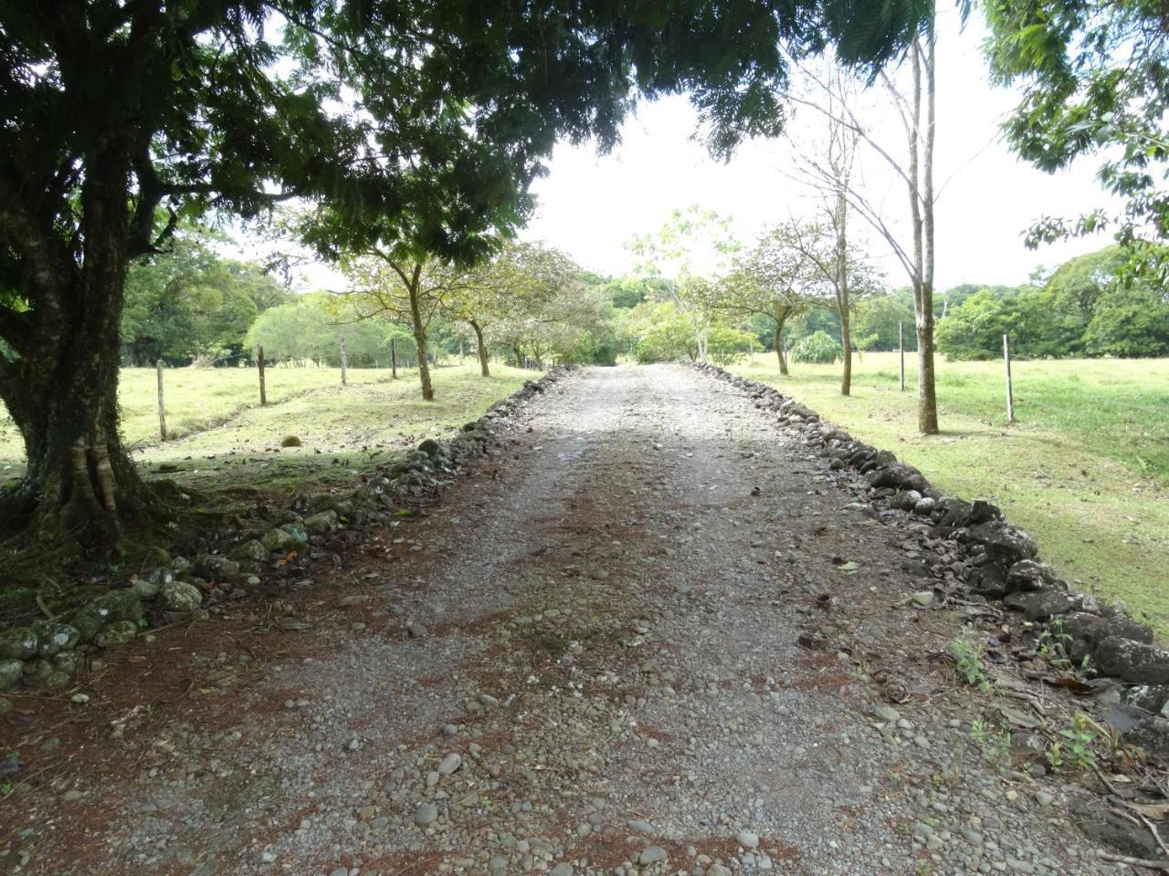 Horquetas River Lodge Sarapiqui Bagian luar foto