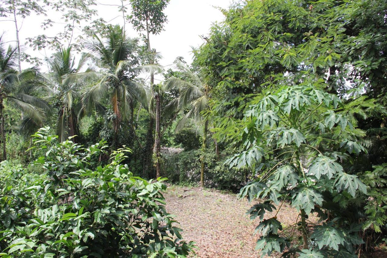 Horquetas River Lodge Sarapiqui Bagian luar foto