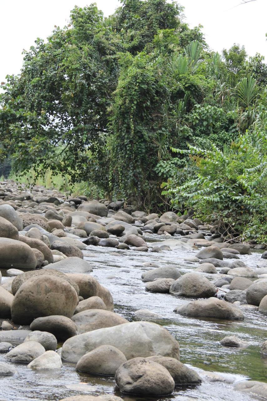Horquetas River Lodge Sarapiqui Bagian luar foto