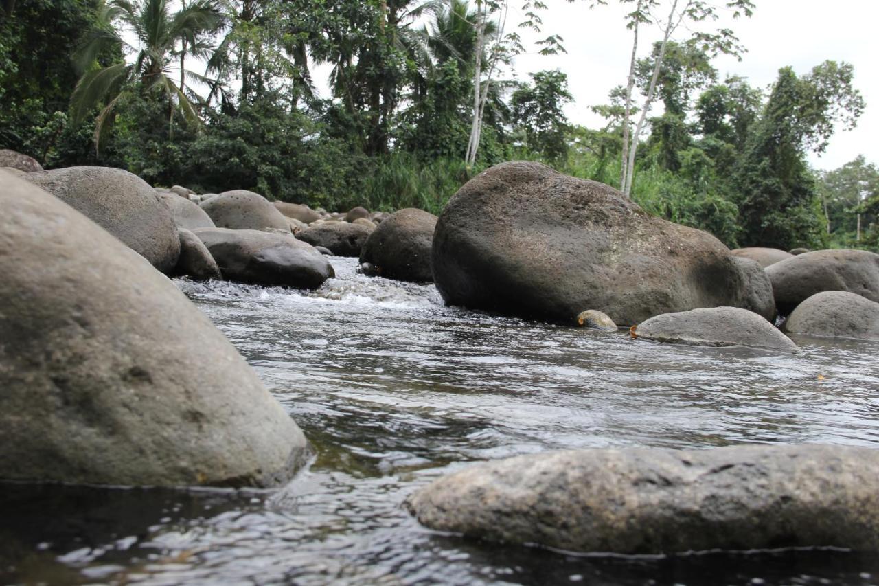 Horquetas River Lodge Sarapiqui Bagian luar foto