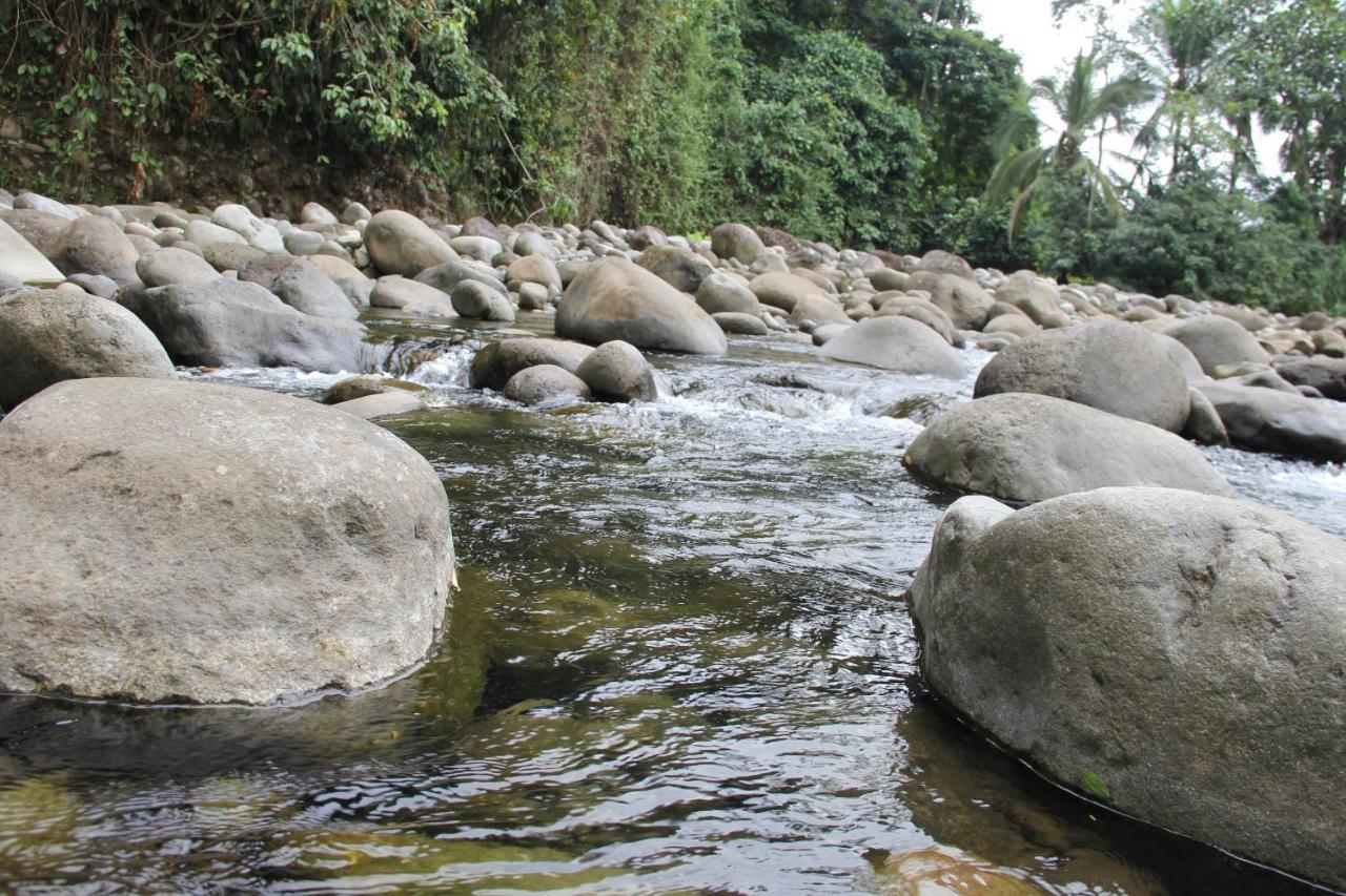 Horquetas River Lodge Sarapiqui Bagian luar foto