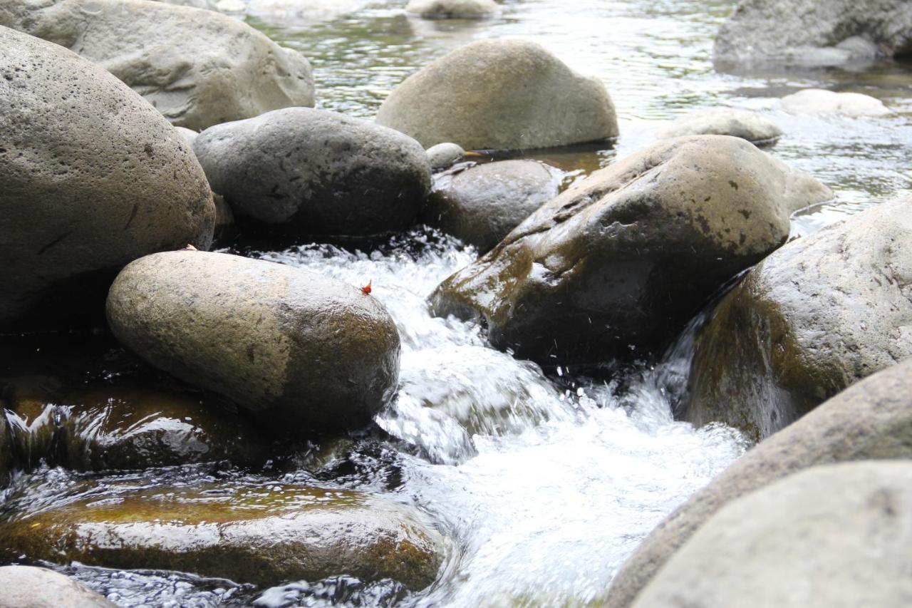 Horquetas River Lodge Sarapiqui Bagian luar foto
