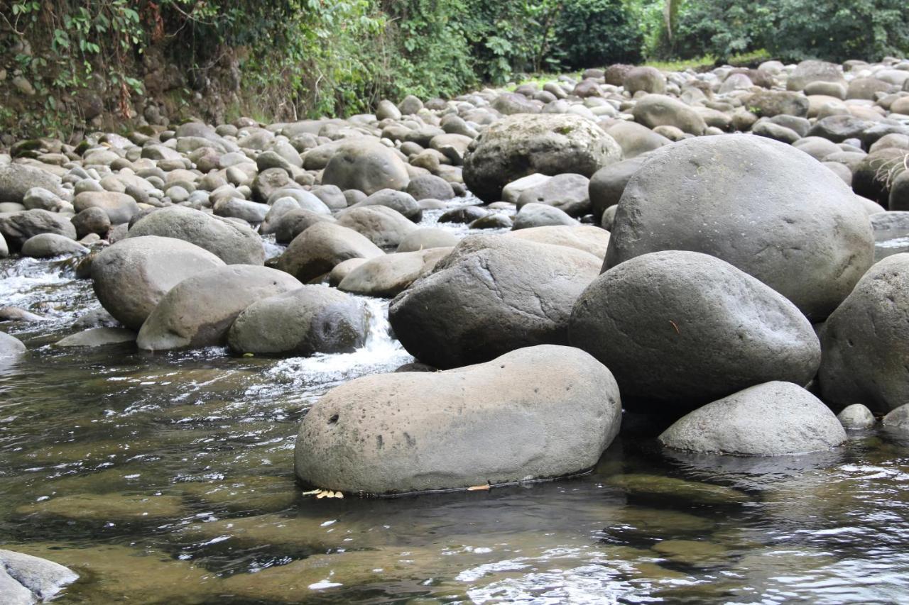 Horquetas River Lodge Sarapiqui Bagian luar foto